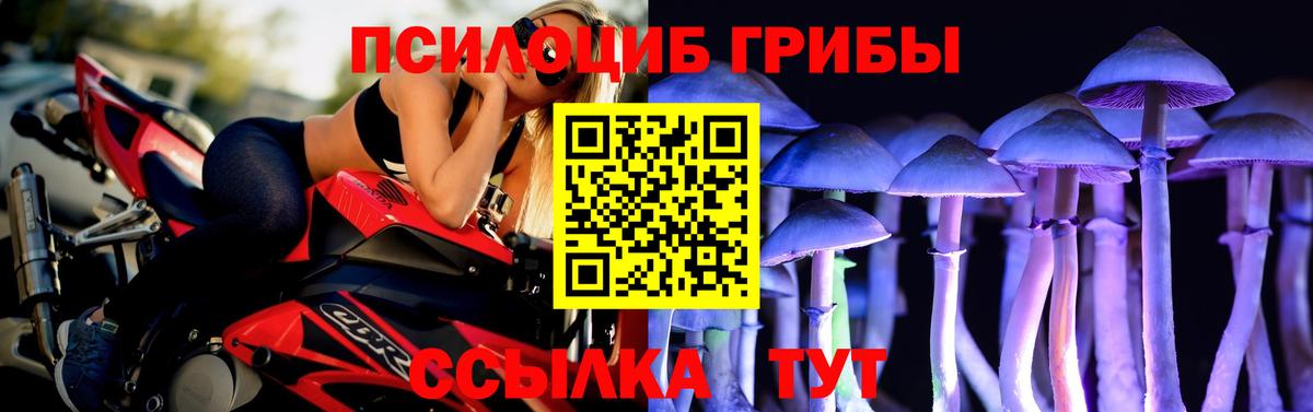 Псилоцибиновые грибы ЛСД Гай